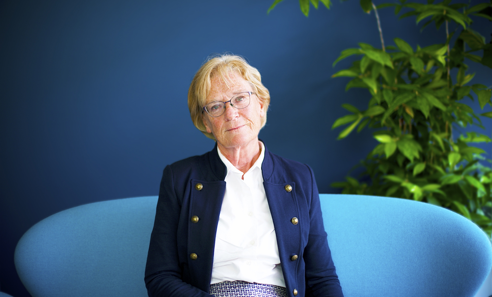 Ann styrelse